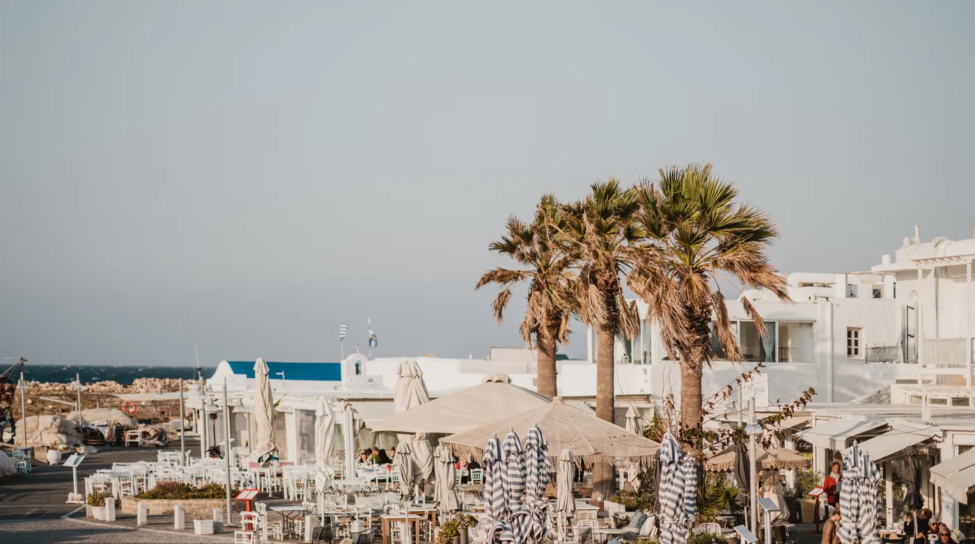 Palm trees over the tables of the Naoussa harbour front on Paros