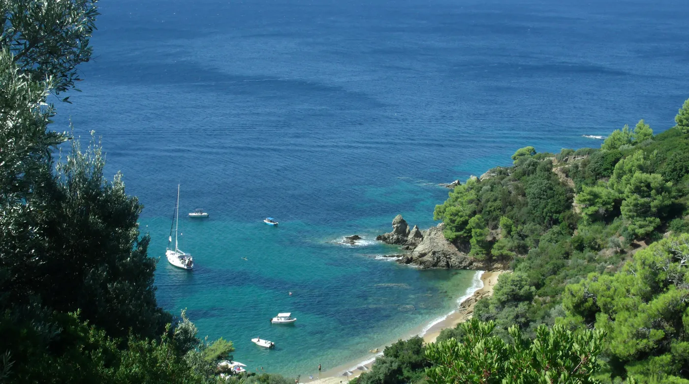 A pine-fringed cove in the Sporades, boats at anchor over clear water