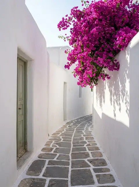 Narrow whitewashed Mykonos alley with magenta bougainvillea spilling over the wall