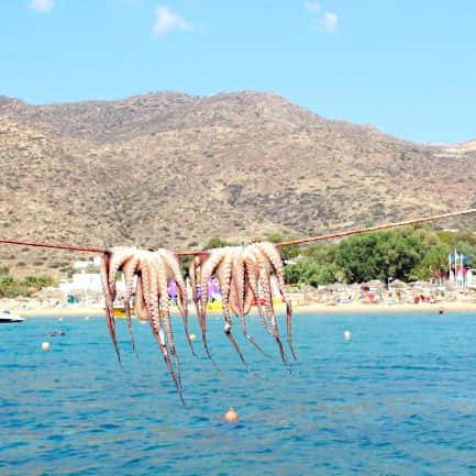 11Drakos Fish Taverna