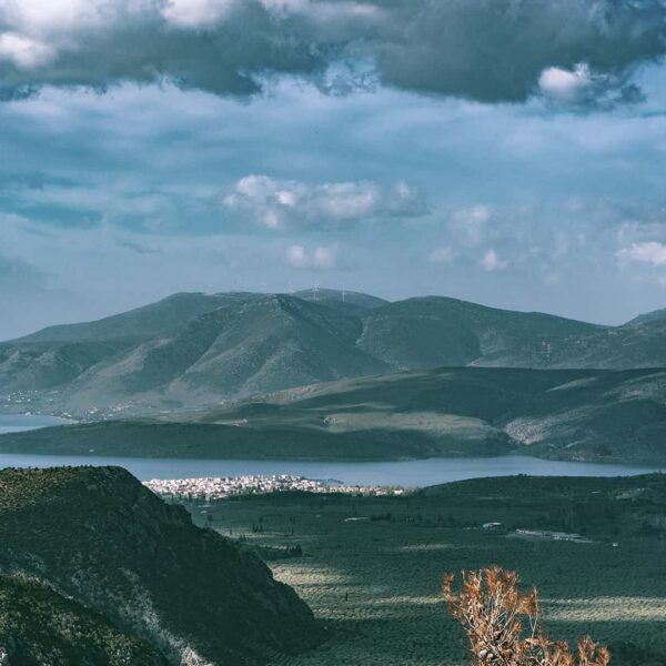 11Legend states that Zeus once sent two eagles flying from opposite ends of the world and, after circling the globe, Delphi was the point at which they met.